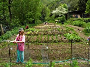 familie 28-nieuwe carousel